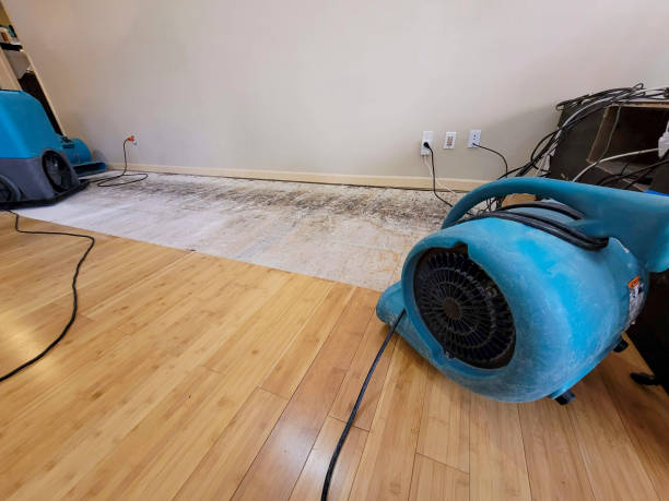 Professional Sewage Cleanup technician working in Chickasha, OK